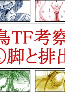 [Koganemushi] Tori TF ni Kansuru Kousatsu to Renshuu - page 17