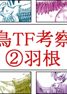 [Koganemushi] Tori TF ni Kansuru Kousatsu to Renshuu - page 6