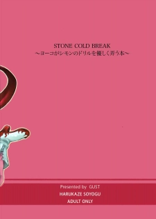 (C72) [GUST (Harukaze Soyogu)] Stone Cold Break ~ Yoko ga Shimon no Drill o Yasashiku Ijiu Hon ~ (Tengen Toppa Gurren Lagann) [English] [FAKKU] - page 19