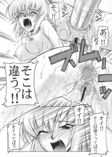 (C65) [GOLD RUSH (Suzuki Address)] Emotion (Ki) (Gundam SEED) - page 18