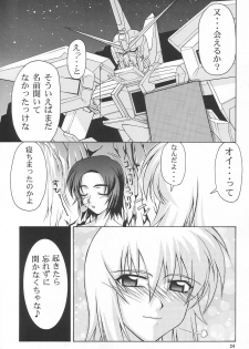 (C65) [GOLD RUSH (Suzuki Address)] Emotion (Ki) (Gundam SEED) - page 24