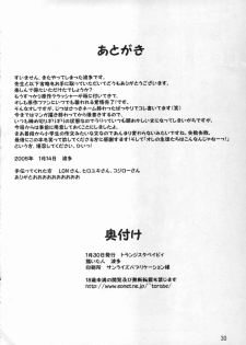 (CT5) [Transistor Baby (Hata)] Sensei to Himitsu no Kagai Jugyou (Summon Night 3) - page 29