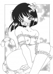(CR27) [Thirty Saver Street 2D Shooting (Maki Hideto, Sawara Kazumitsu)] Silent Saturn 11 (Bishoujo Senshi Sailor Moon) - page 27
