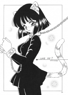 (CR27) [Thirty Saver Street 2D Shooting (Maki Hideto, Sawara Kazumitsu)] Silent Saturn 11 (Bishoujo Senshi Sailor Moon) - page 26
