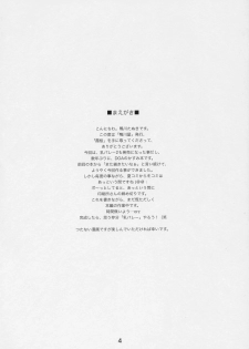 (C71) [Kamogawaya (Kamogawa Tanuki)] Kasumizakura (Dead or Alive) - page 3