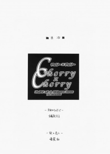 (C73) [Countack (Kojiki Ohji, Shimao Kazu)] Cherry x Cherry (Kodomo no Jikan) - page 3