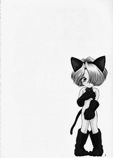 (CR27) [U.R.C (MOMOYA SHOW-NEKO)] Maria 3 Love Squall (Sakura Taisen) - page 5