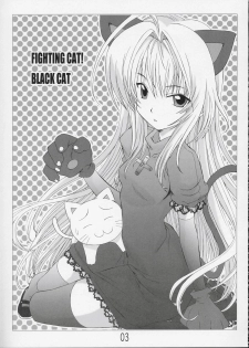 (SC24) [Banana Jam (Hanzaki Jirou)] Fighting Cats! (Black Cat) - page 2