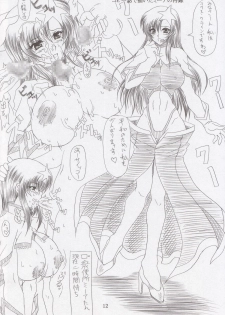 (C69) [INSERT (KEN)] Chichi-hime (Gundam SEED DESTINY) - page 11