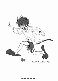 (C62) [Bakugeki Monkeys (Inugami Naoyuki)] Baby Doll (Black Cat, Bleach) - page 33