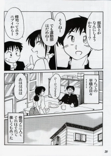 (C61) [Studio Sitomi (Tsuya Tsuya)] Hisae Haitoku Nikki Shiori no 2 - page 19
