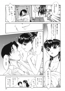 [Nekogen] Midarana Shimai - page 29