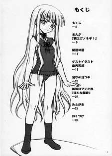 (C69) [Niko Mark (Minazuki Juuzou, Yamauchi Kazunari)] Chou Mahou Gattai Eva Negi! ~Magister Eva Negi~ (Mahou Sensei Negima!) - page 3
