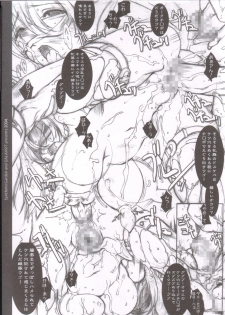 (C66) [Galaxist, Synthetic Garden (Various)] GreenPapper and RedChelisauce (Final Fantasy XI) - page 44