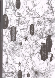 (C66) [Galaxist, Synthetic Garden (Various)] GreenPapper and RedChelisauce (Final Fantasy XI) - page 46