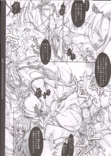 (C66) [Galaxist, Synthetic Garden (Various)] GreenPapper and RedChelisauce (Final Fantasy XI) - page 40