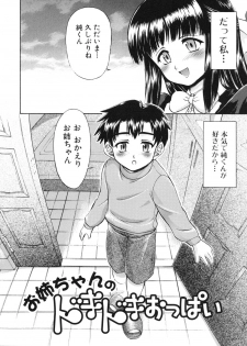 [Fujinomiya Yuu] Ane no Nioi to Boku no Shiru - Elder sister's smell and my juice - page 50