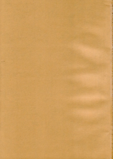 (C68) [DiGiEL (Yoshinaga Eikichi)] DiGital AngELs SIDE-D (Various) - page 2