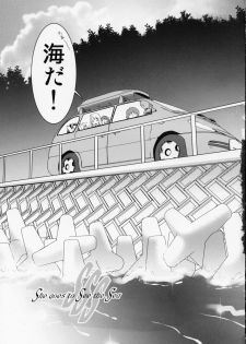 (C68) [Renai Mangaka (Naruse Hirofumi)] SSS - She goes to See the Sea - Kanojo wa Umi o Miniiku (Fate/stay night) - page 3