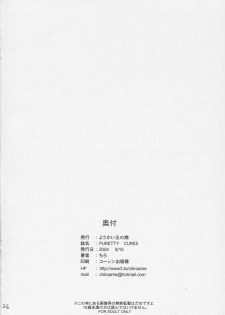 (C66) [Youkai Tamanokoshi (CHIRO)] Puretty Cures (Futari wa Precure) - page 25