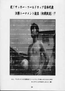 (C62) [SHD (Buchou Chinke, Hiromi)] Haijo Ninpouchou 9 (The King of Fighters) - page 34