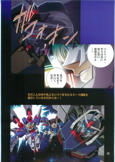 (C70)[Hen Rei Kai (Kawarajima Kou)] SEED ANOTHER CENTURY D.E. 2 (Gundam SEED Destiny) - page 17