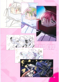 (C70)[Hen Rei Kai (Kawarajima Kou)] SEED ANOTHER CENTURY D.E. 2 (Gundam SEED Destiny) - page 27