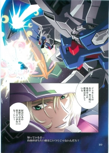 (C70)[Hen Rei Kai (Kawarajima Kou)] SEED ANOTHER CENTURY D.E. 2 (Gundam SEED Destiny) - page 19