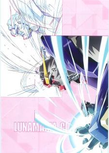 (C70)[Hen Rei Kai (Kawarajima Kou)] SEED ANOTHER CENTURY D.E. 2 (Gundam SEED Destiny) - page 41