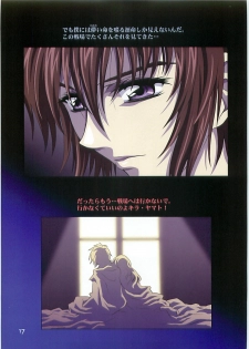 (C70)[Hen Rei Kai (Kawarajima Kou)] SEED ANOTHER CENTURY D.E. 2 (Gundam SEED Destiny) - page 16
