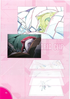 (C70)[Hen Rei Kai (Kawarajima Kou)] SEED ANOTHER CENTURY D.E. 2 (Gundam SEED Destiny) - page 24