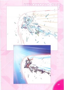 (C70)[Hen Rei Kai (Kawarajima Kou)] SEED ANOTHER CENTURY D.E. 2 (Gundam SEED Destiny) - page 45