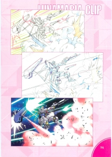 (C70)[Hen Rei Kai (Kawarajima Kou)] SEED ANOTHER CENTURY D.E. 2 (Gundam SEED Destiny) - page 23