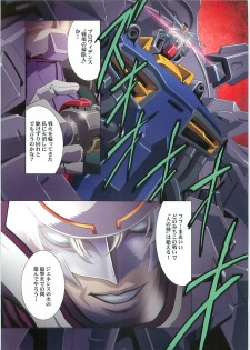 (C70)[Hen Rei Kai (Kawarajima Kou)] SEED ANOTHER CENTURY D.E. 2 (Gundam SEED Destiny) - page 18