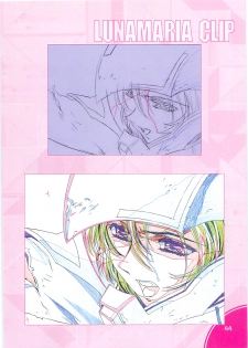(C70)[Hen Rei Kai (Kawarajima Kou)] SEED ANOTHER CENTURY D.E. 2 (Gundam SEED Destiny) - page 43