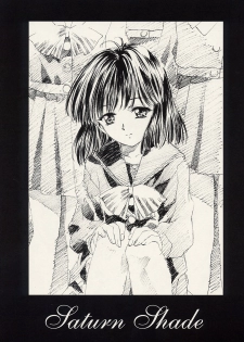 (C62) [Henrei-kai (Kawarajima Koh)] Dosei Ame (Bishoujo Senshi Sailor Moon) - page 6