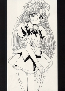 (C62) [Henrei-kai (Kawarajima Koh)] Dosei Ame (Bishoujo Senshi Sailor Moon) - page 42