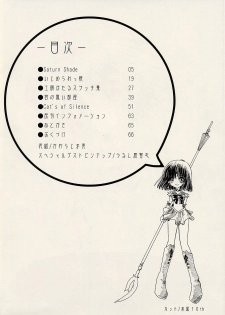 (C62) [Henrei-kai (Kawarajima Koh)] Dosei Ame (Bishoujo Senshi Sailor Moon) - page 5