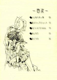(CR31)[Henrei-kai (Kawarajima Koh)] Hotaru Ame (Bishoujo Senshi Sailor Moon) - page 3