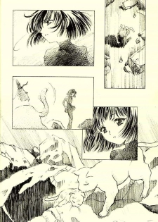 (CR31)[Henrei-kai (Kawarajima Koh)] Hotaru Ame (Bishoujo Senshi Sailor Moon) - page 27