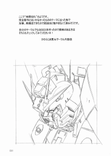(C65)[Gensyokukan (Hakumai Gen) & Henrei-kai (Kawarajima Koh)] Gensyokukan Hatsu Hakumai Shido 2 RICE-SEED 2 (Kidou Senshi Gundam SEED) - page 30
