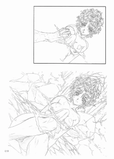 (C65)[Gensyokukan (Hakumai Gen) & Henrei-kai (Kawarajima Koh)] Gensyokukan Hatsu Hakumai Shido 2 RICE-SEED 2 (Kidou Senshi Gundam SEED) - page 18