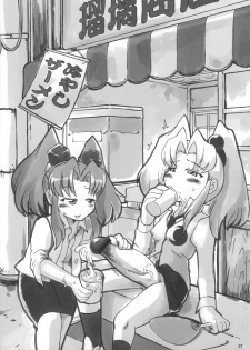 (C73) [Kakumei Seifu Kouhoushitsu (RADIOHEAD)] Theseus no Fune -Sex Sphere- (Martian Successor Nadesico) - page 36