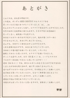 (CR37) [Intendou (Yaju)] SEED DESTINY ANGEL 1 (Gundam SEED DESTINY) - page 13