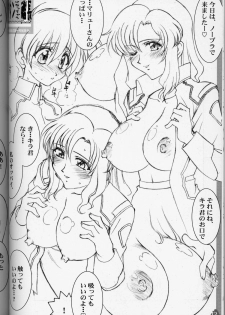 (C64) [LUCK&PLUCK! (Amanomiya Haruka)] MaryuKira Machine (Gundam SEED) - page 11