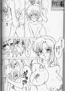 (C64) [LUCK&PLUCK! (Amanomiya Haruka)] MaryuKira Machine (Gundam SEED) - page 13