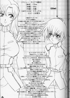 (C64) [LUCK&PLUCK! (Amanomiya Haruka)] MaryuKira Machine (Gundam SEED) - page 6