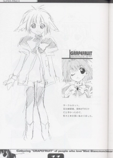 (C62) [GRAPEFRUIT (Shintarou)] SUPER PINCH! (Galaxy Angel) - page 10