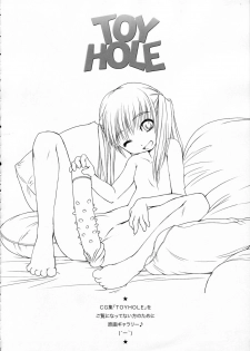 (C69) [AskRay (Bosshi)] TOY HOLE EXTENDED! - page 23