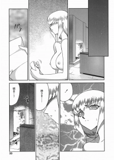 [Taira Hajime] Kamen no Kishi Orleana Kouhen - page 33